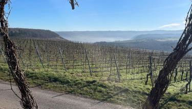 Neue Fewo mit Weinbergsblick - Urlaub im Wein- und Ferienort Bekond - Foto 5