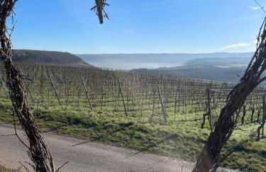 Neue Fewo mit Weinbergsblick - Urlaub im Wein- und Ferienort Bekond - Foto 5