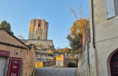 Studio des Caves de la Tour Du Roy St Emilion - Foto 23