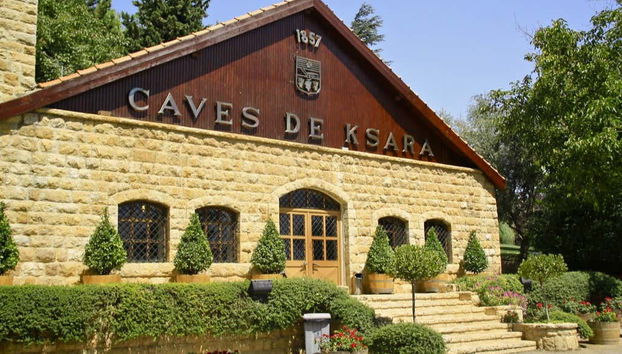 Excursión a Baalbek + Visita a las bodegas de Zahle - Foto 3, Bodegas en El Líbano