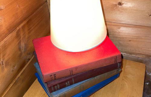 Retro Lodge nr Dartmoor with hot tub & opt sauna - Foto 37