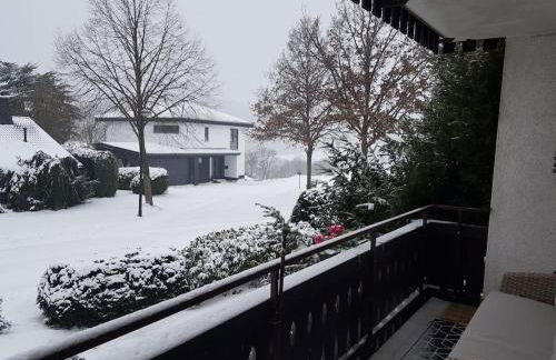 Apartment mit Kamin-Sonnendurchflutet-Balkon - Foto 7