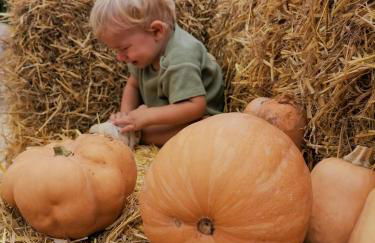 Masia Rosalia - Foto 29