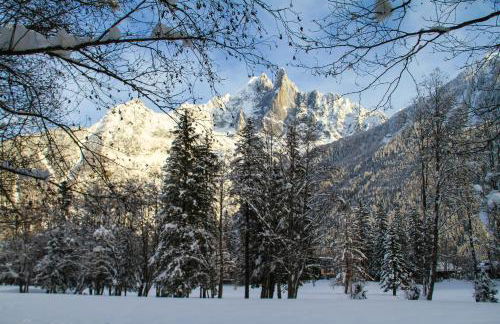 Apartment Chinook,La Praz,Chamonix Mont Blanc - Photo 33