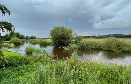 Wharfe Bank Cottage - Foto 48