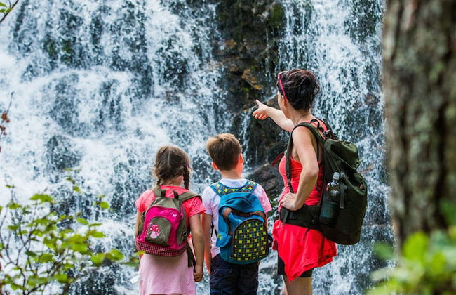 Ferienhaus Schmiedgut - Foto 12