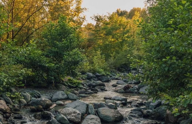 Mila Garden Villas & Bungalows - Foto 56