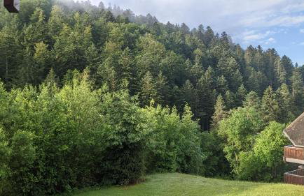 Ferienwohnung Sonnen Strahl - Photo 6