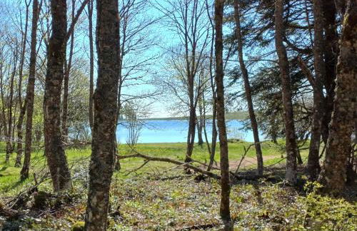 Cœur de volcan - Foto 44