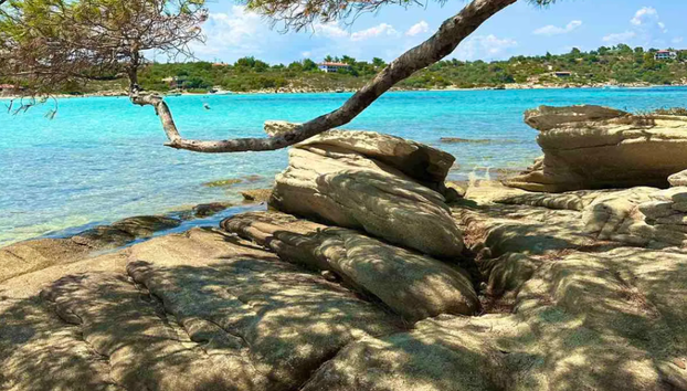 Thessalonique : excursion à Neos Marmaras et plage - Photo 3