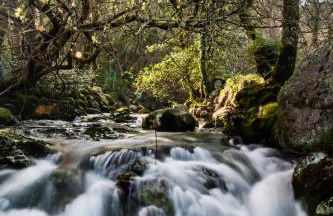 Entre Os Ríos - Casa Rural y Enoturismo - Foto 71
