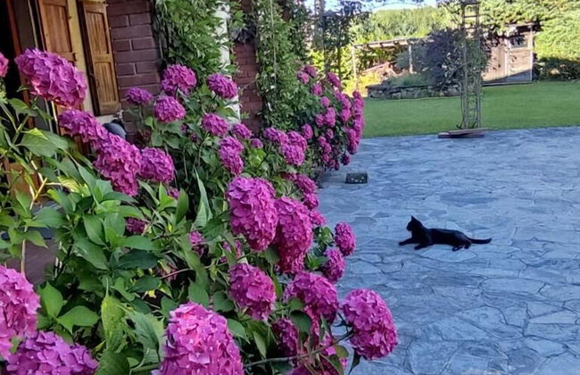 B&B da Ronald...a Pian del Papa - Photo 61