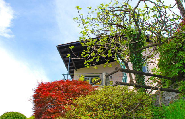 Casablanca OG - Foto 27