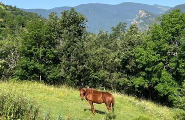 Casa de pueblo a 4km de Andorra - Foto 15