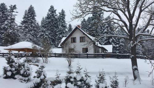 Dom na Krzemienicy - Foto 3