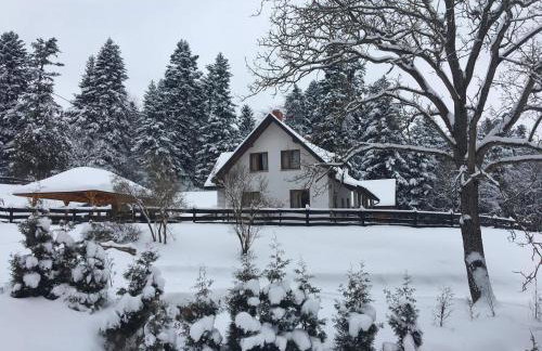 Dom na Krzemienicy - Foto 3