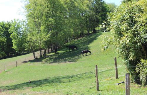 Les Merens - Foto 11