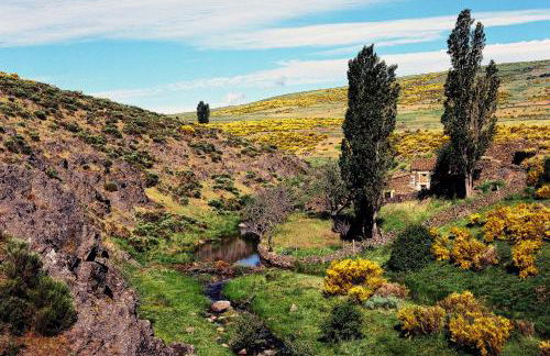 Casa Rural La Vereilla - Foto 3