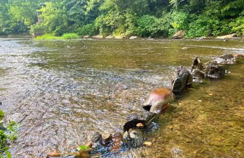 The Firefly Lodge at ShenandoahHot Tub~ View~Pets - Foto 9