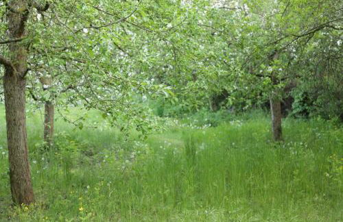 Große Ferienwohnung in Peetzig am See - Foto 62