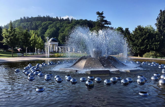 Marienbad Apartment - Foto 67