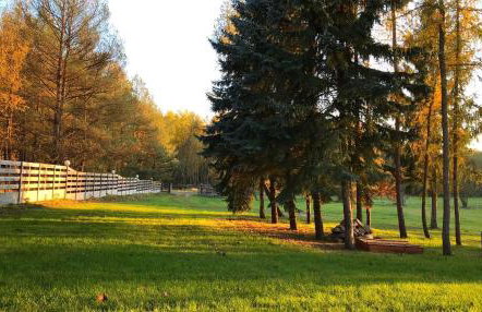 Agroturystyka PLENER - Foto 12