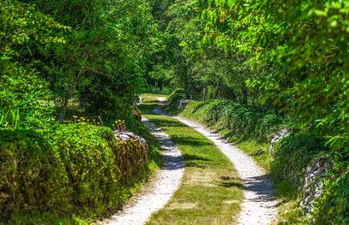 Village Miljavci - Photo 58