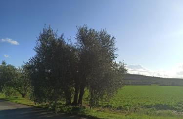 Agriturismo Oasi del Pianettino - Foto 23