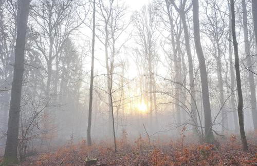 Steewer Landhaus gemütliche Ferienwohnung bis 6 Pers in ruhiger Ortsrandlage - Foto 44