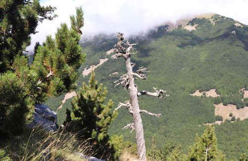 Villa Manca - Photo 31