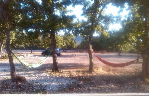 Family-friendly apartments with swimming pool Lozovac, Krka - 18961 - Foto 15