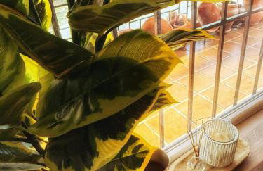 Casa Terra - Foto 33