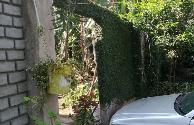 In-Africa Stay - Foto 12