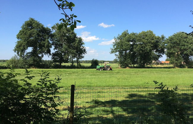 Family Residence With Large Garden - Foto 36