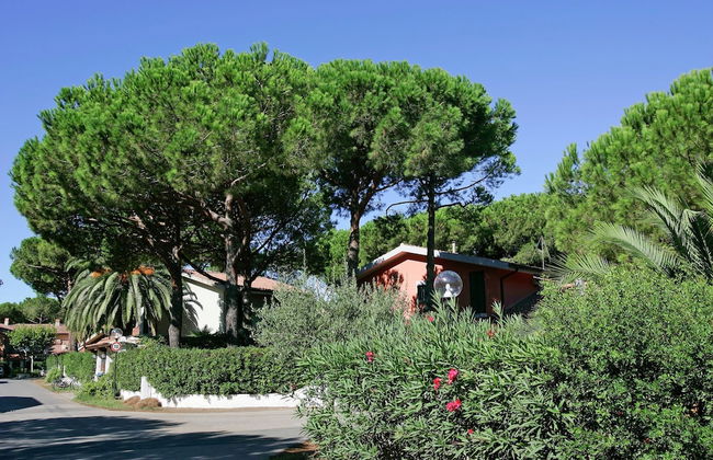 Haven in the Hills of Tavullia - Photo 25