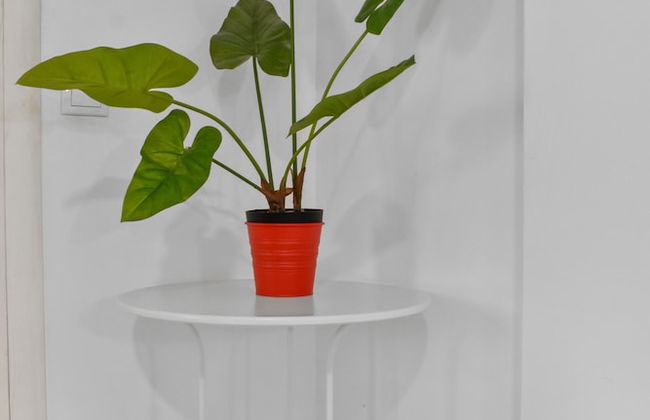 HomeStay Otopeni - Foto 25