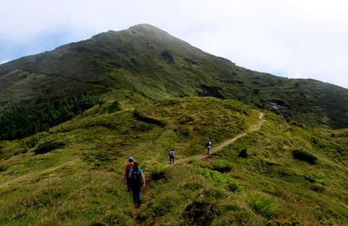 Green Sunrise House - Photo 72