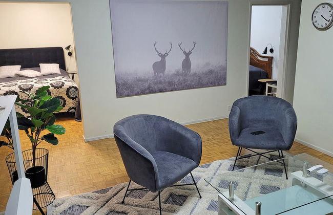 Apartment Puijo with garage - Photo 1