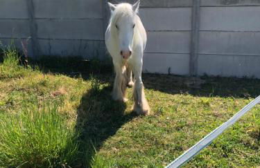 Le Cottage de Romas - Foto 28