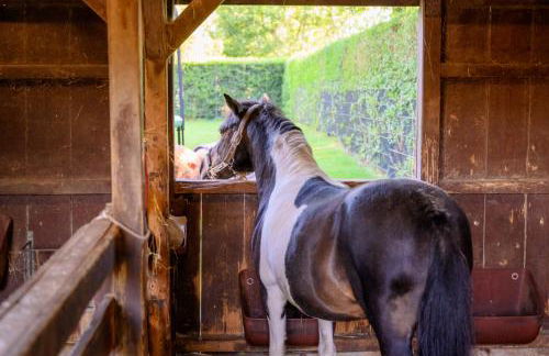 Ferienwohnung Fachwerkhaus - Westen oben - Bauernhof Hopp Vadersdorf - Foto 15