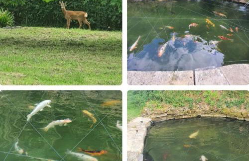 Beautiful Self Contained Cottages in Westbury - Foto 7