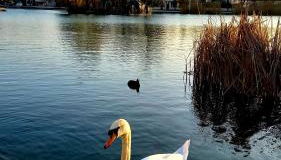 Appartement Cosy ,WIFI ,Gare "Le Refuge du Lac" - Foto 2