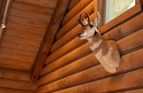 Private Forest Lodge Near Silverwood Theme Park - Sleeps 10 - Foto 26