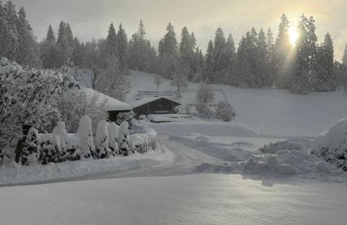 Marmotte du Jaillet Cosy and charmant appartement - Foto 40