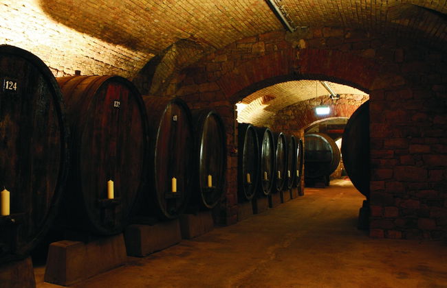 Schmuckkästle am Hafen - Foto 62