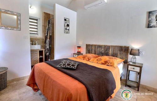 Villa L'Opaline 10 pers Piscine privée Chauffée Animaux admis Wifi - Foto 7