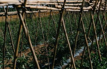 Can Serrà 1786 - Photo 56