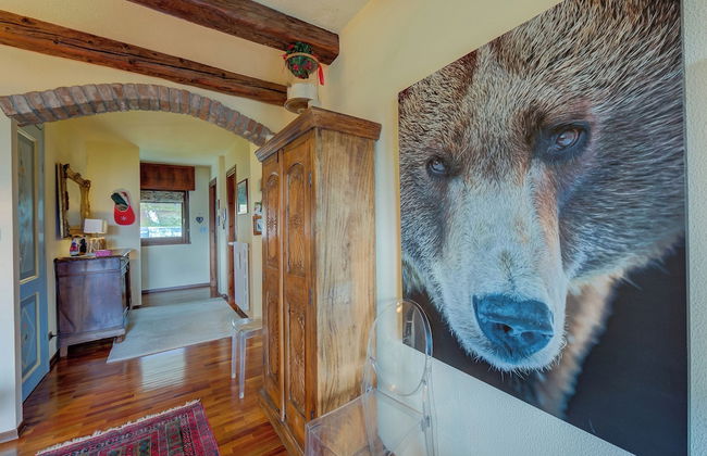 La Stella Alpina - Foto 28