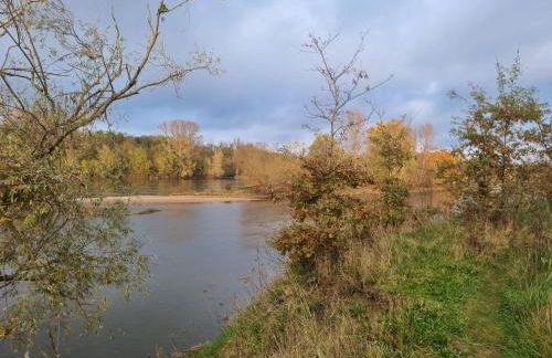 Troglo en bord de Loire, entre vignes et châteaux - Foto 13
