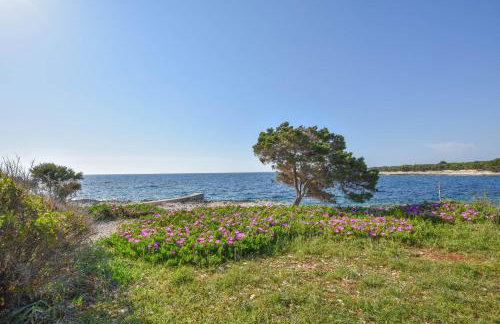 Apartment Ivan - Photo 21